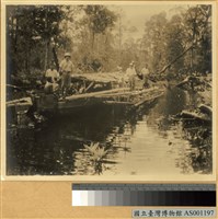 藏品(南洋內河航道上雙邊舷外支架小船)的圖片